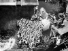 Metropolis, Behind the Scenes