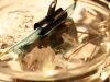 osPID Sous Vide