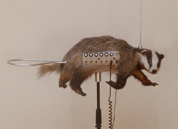 badgermin badger thermin