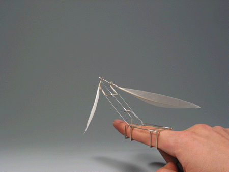 white_wing_ring white_wing_ring
